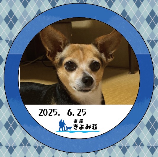 ミックス