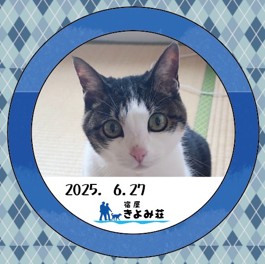 はやしだハナ
