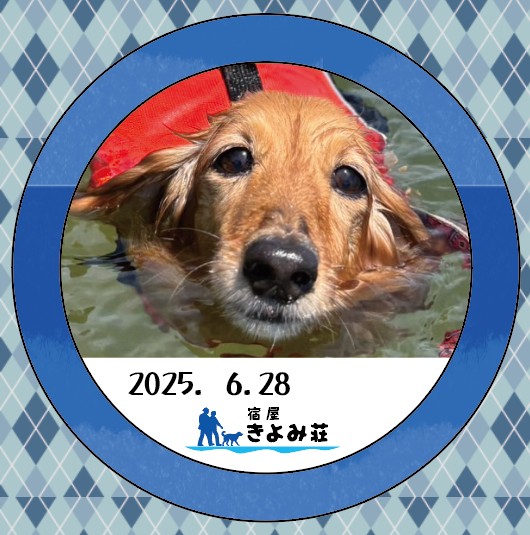 ニーナ