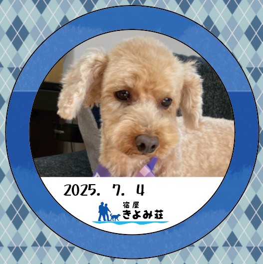 セナ