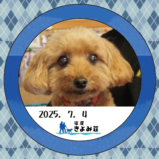 レクサス