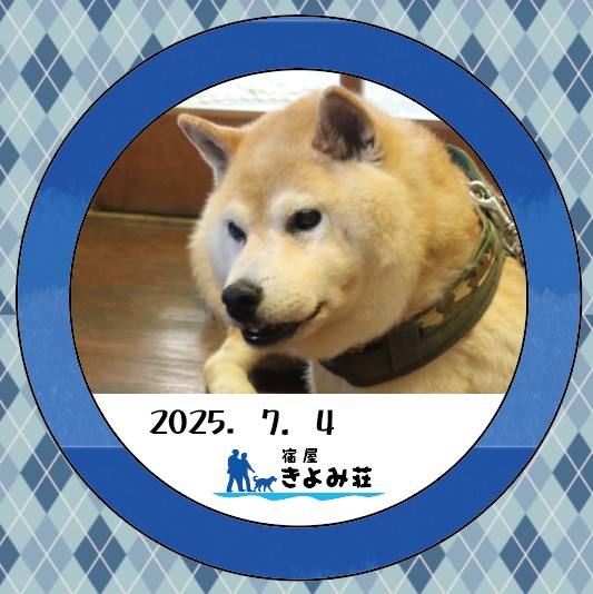 ゴン