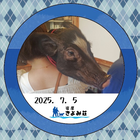のあーる