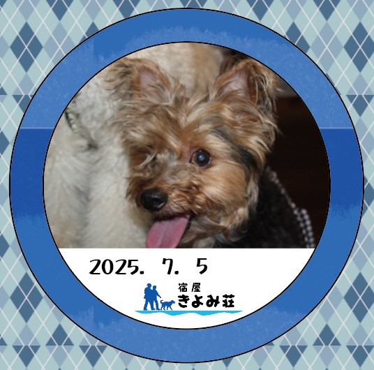 なっ太郎