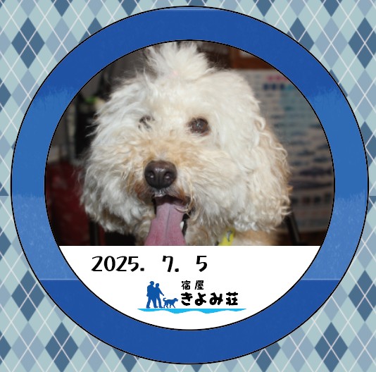 こたろう