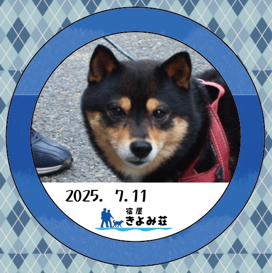 ひかる