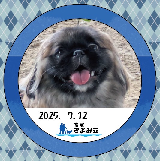 らいた