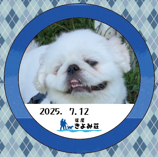 ふうた