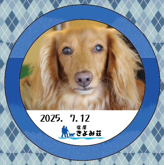 レイ