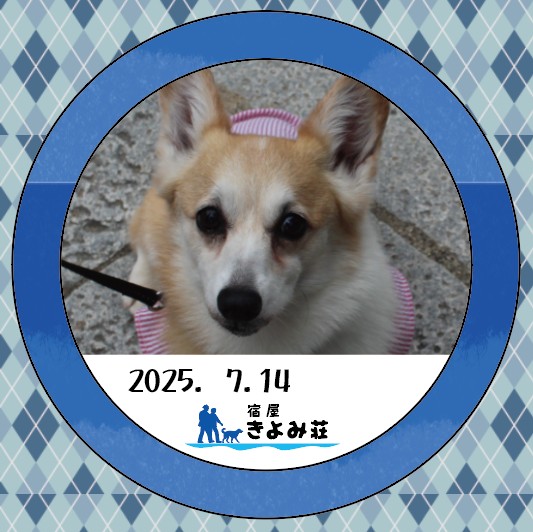 はな