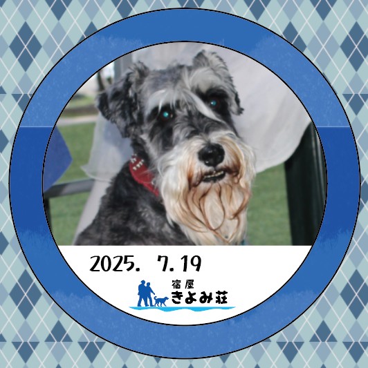 さんご