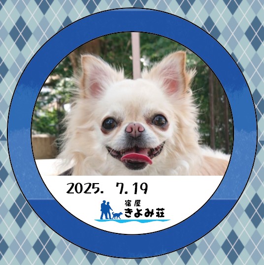 プリン