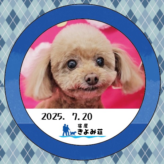モネ