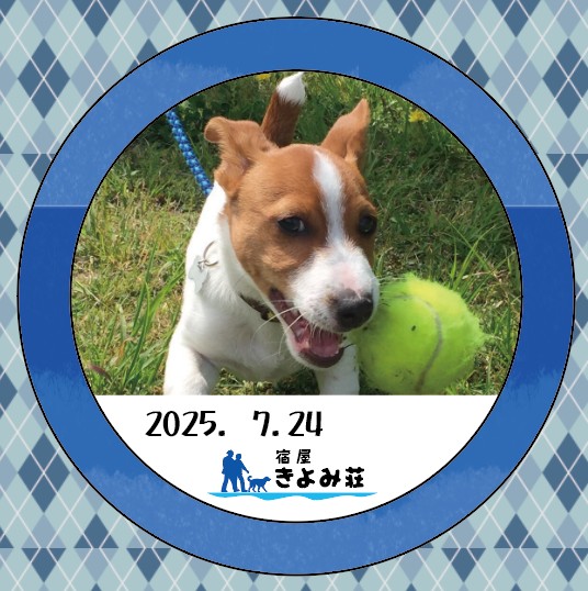 そうや