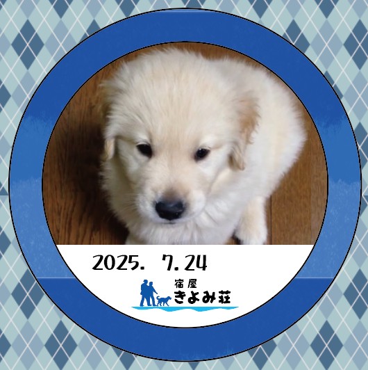 あすか
