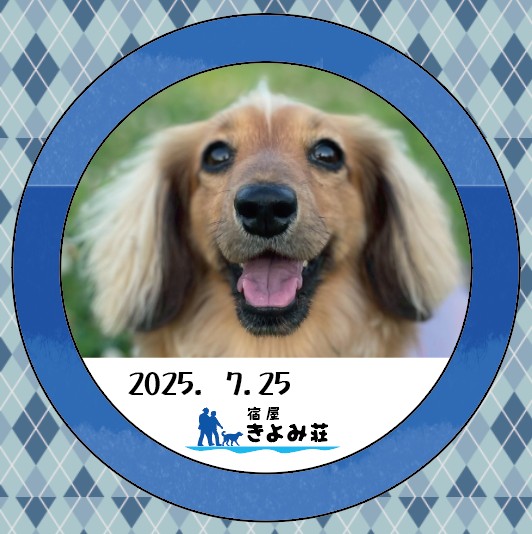 サラ