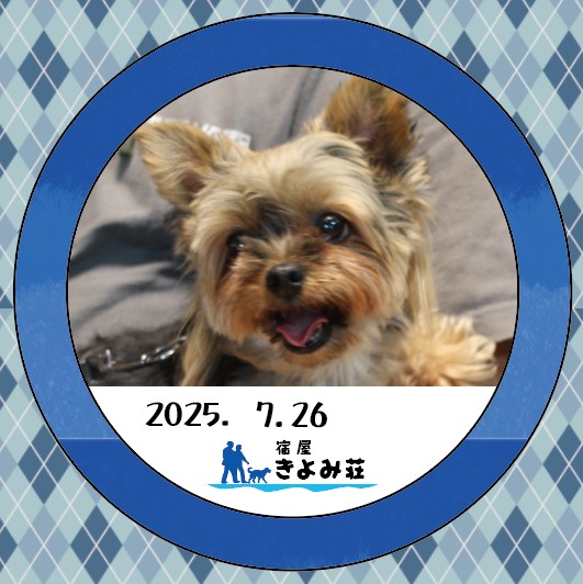 田中トワ