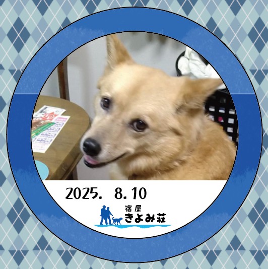 すず