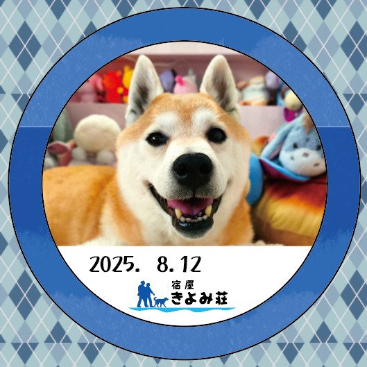 和ちゃん