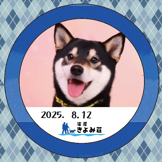 雅ちゃん