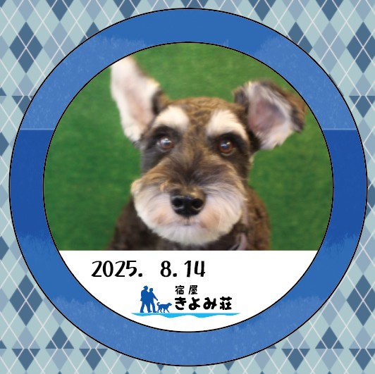 蓮