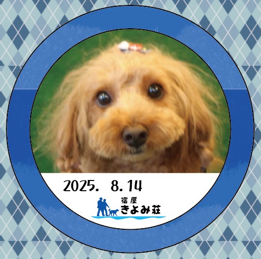 陸