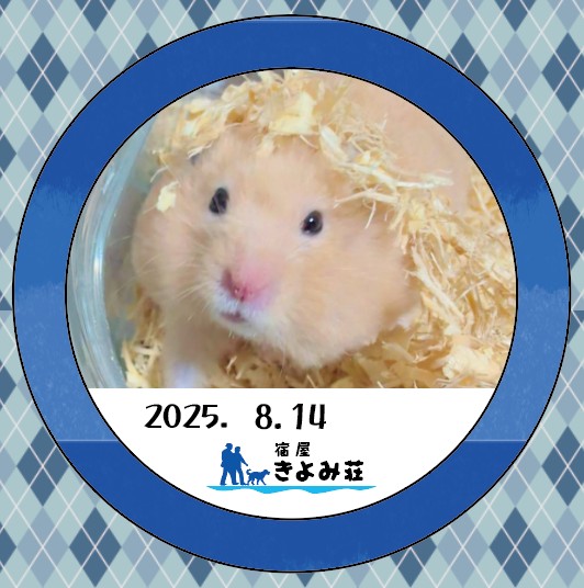 れお