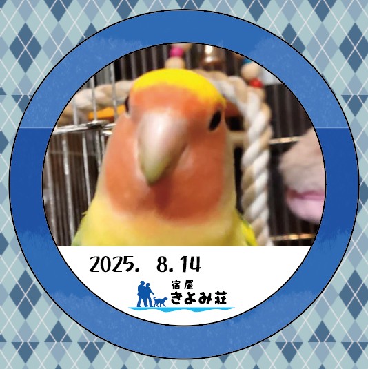 ぽっちゃん