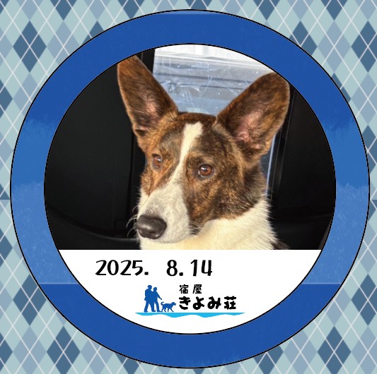 らん