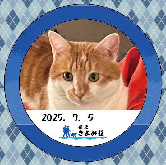 ちくわ