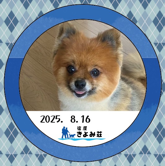 まりん