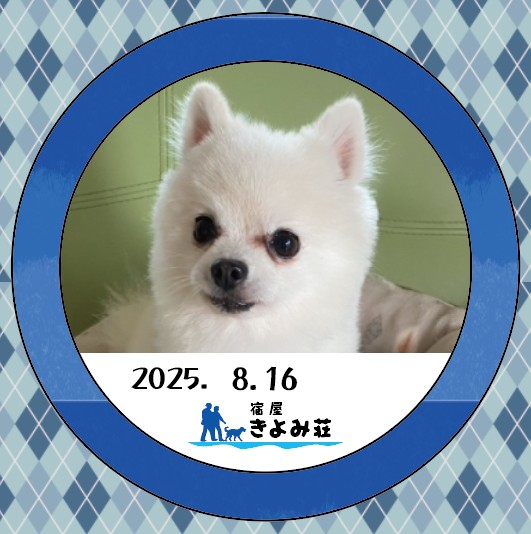 くっきー