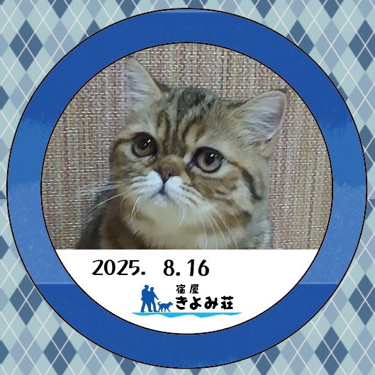 誉