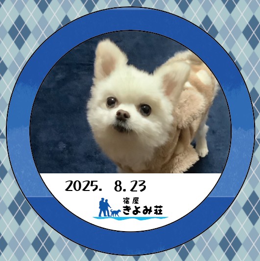 ネネ