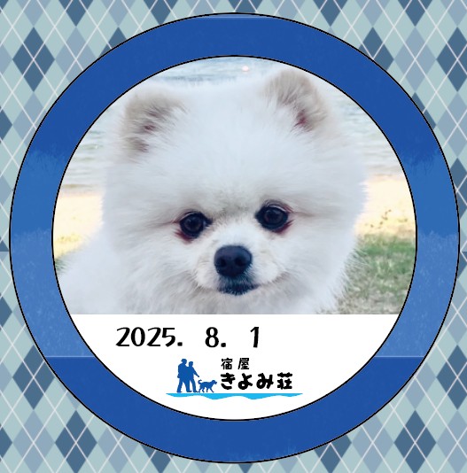 ポン