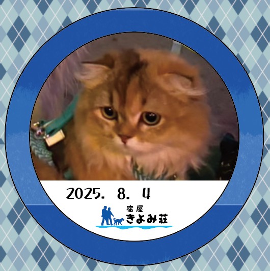 ピノ
