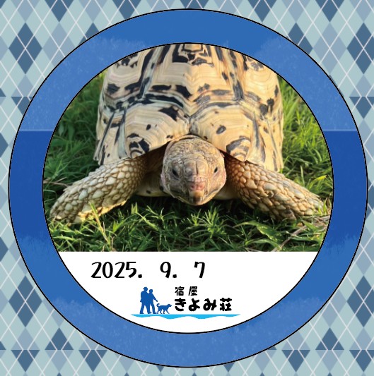 トラ吉