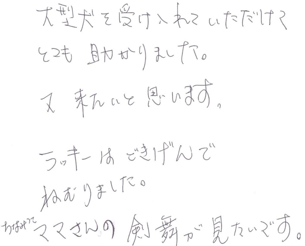 大型犬を受け入れて