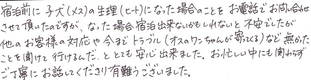 宿泊前に子犬の