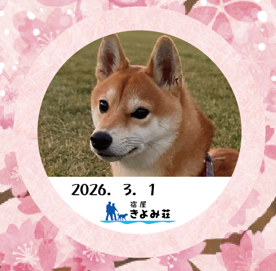 チャーシュー