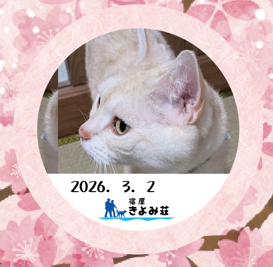にゃーす