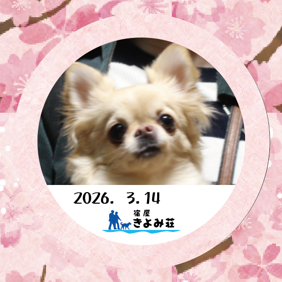 イブ