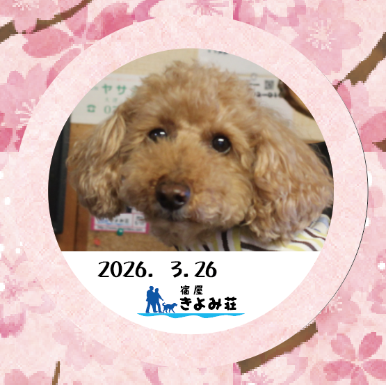 小太郎
