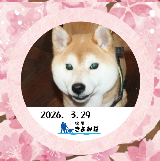 げん