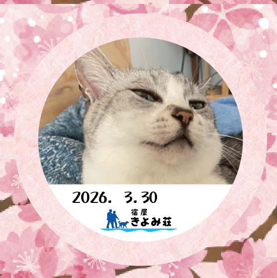 グレコ