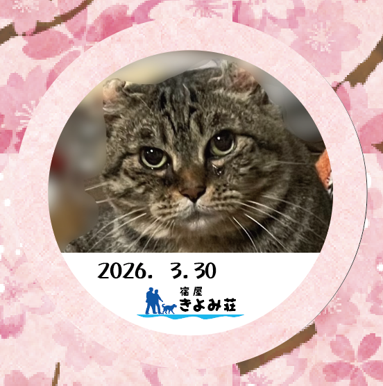 シモン