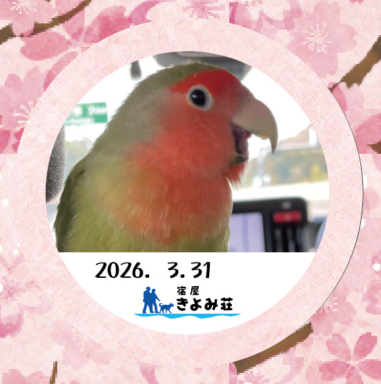 ユア