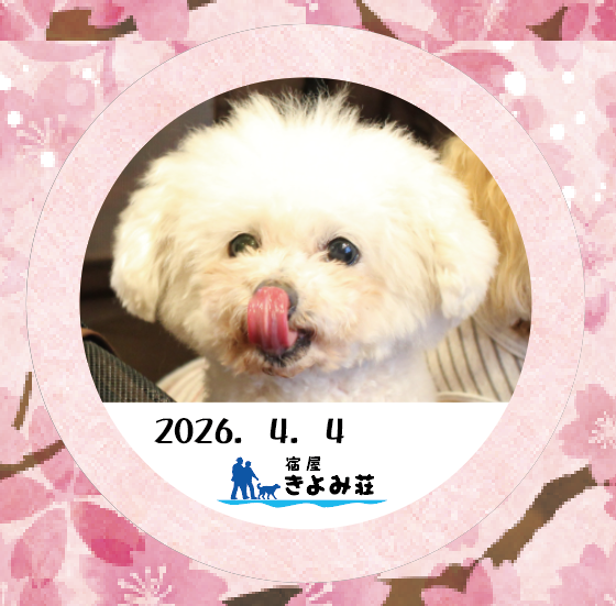 バニラ