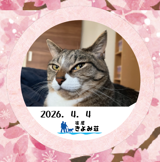パル