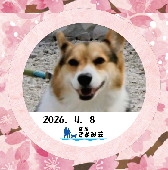 こたろう